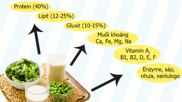 Những chất dinh dưỡng có trong sữa đậu nành vô cùng tốt cho sức khỏe.