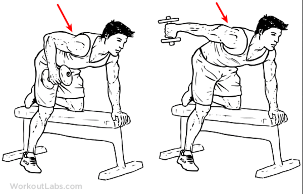 Cách tập tạ tay, cách giữ thăng bằng khi tập Triceps kick-back