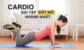 Tập cardio là gì? Phương pháp tập luyện nào hiệu quả